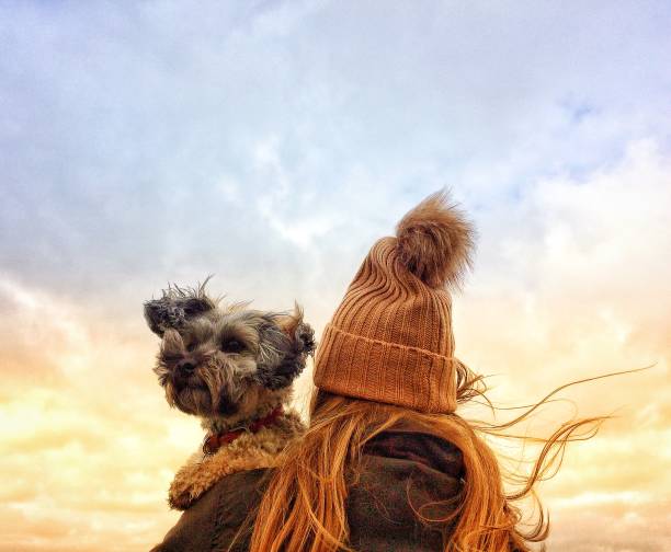 Girl in Wooly Hat holding her dog on a windy day A rear view of a fashionable , young girl wearing a knitted, woolly hat and holding her scruffy, pet dog tightly over her shoulder with the wind blowing her long hair during stormy weather in Autumn kids winter fashion stock pictures, royalty-free photos & images