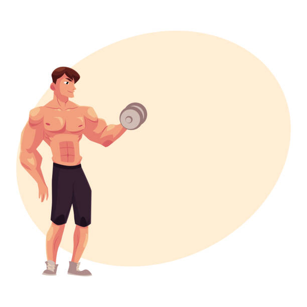 ilustrações, clipart, desenhos animados e ícones de fisiculturista de homem, halterofilista fazer treino de bíceps, treino braços com halteres - white background dumbbell the human body human arm