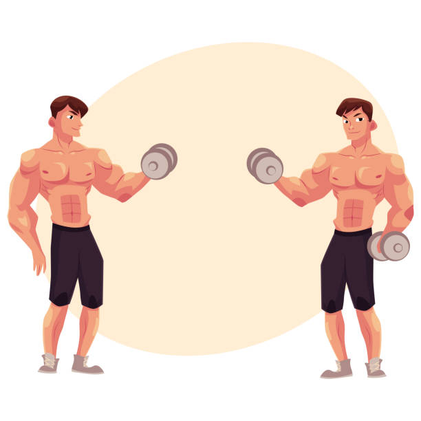 ilustrações, clipart, desenhos animados e ícones de homem bodybuilder, duas variantes de treino de bíceps, haltere braço de treinamento - white background dumbbell the human body human arm