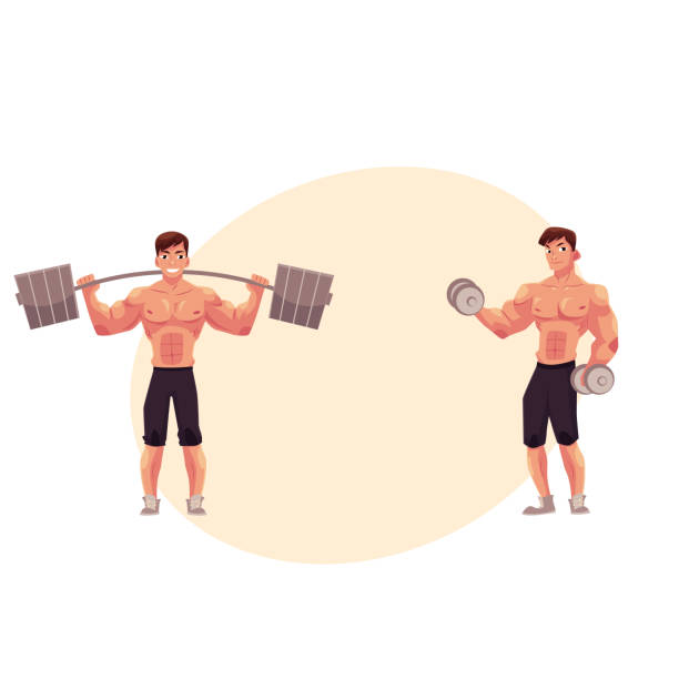 ilustrações, clipart, desenhos animados e ícones de homem fisiculturista, halterofilista, malhando, treinando com barra e halteres - white background dumbbell the human body human arm