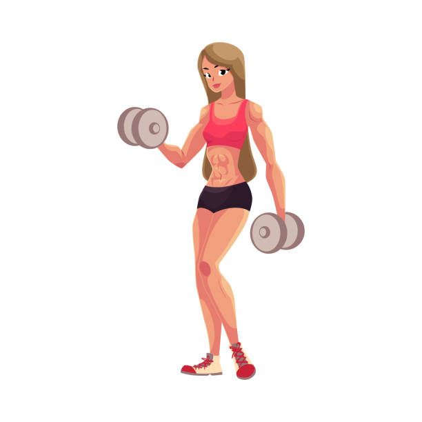 ilustrações, clipart, desenhos animados e ícones de fisiculturista mulher, halterofilista malhando, armas de treinamento com halteres - white background dumbbell the human body human arm