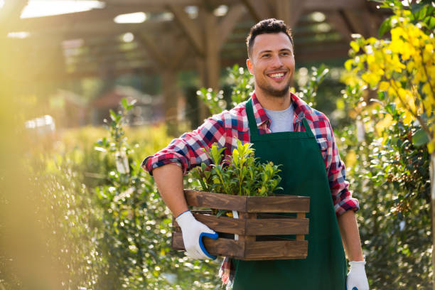 istock Man working in garden center 866513604