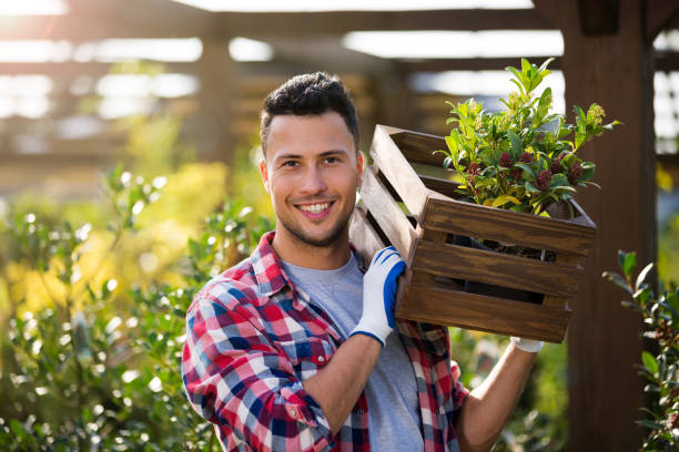 istock Man working in garden center 866513746