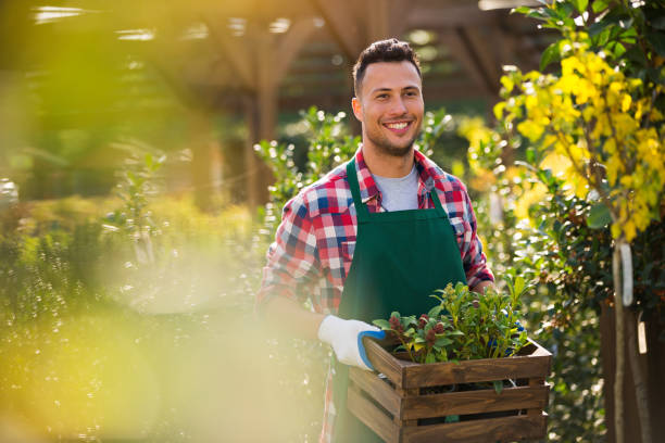 istock Man working in garden center 866513936