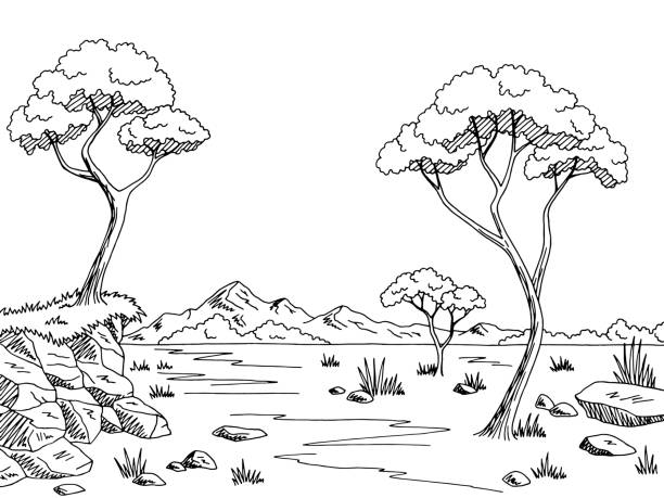 illustrations, cliparts, dessins animés et icônes de graphique noir blanc paysage de savane croquis vector illustration - savane africaine