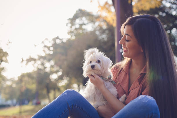 istock Beautiful woman holding cute dog 866521758