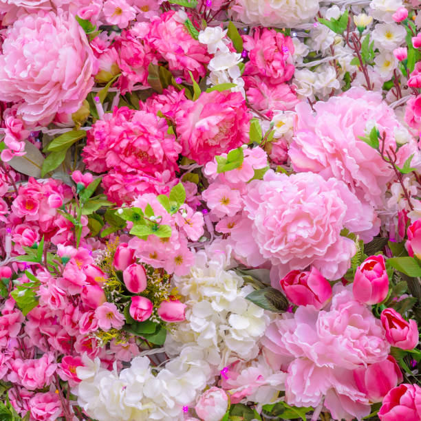 istock Abstract background of flowers 866521790