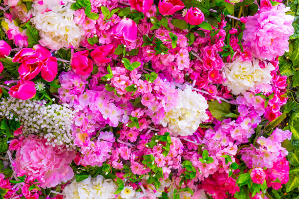 istock Abstract background of flowers 866521894