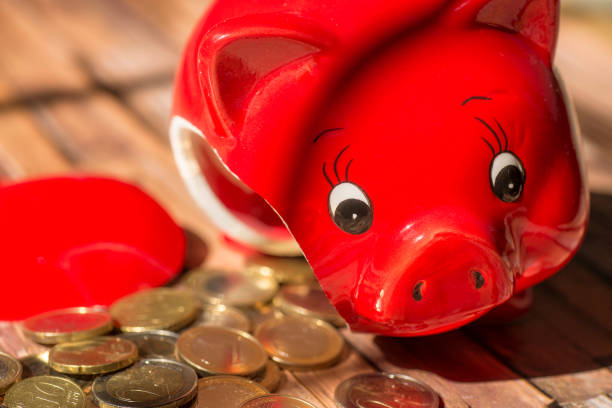 istock Broken piggy bank and coins 866522284