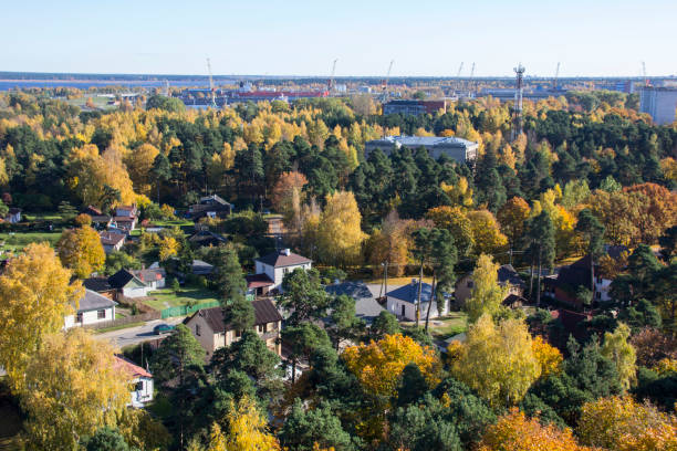 istock autumn background with colored leaves of the tree latvia 866523048