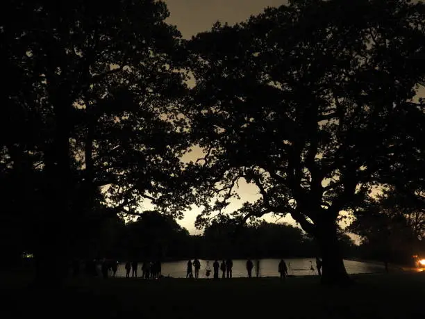 Photo of Attendees of a light painting workshop standing by a pond in Southampton Common. The workshop was organised by University of Southampton Photographic Society