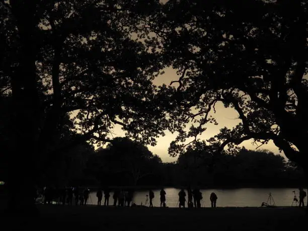 Photo of Attendees of a light painting workshop standing by a pond in Southampton Common. The workshop was organised by University of Southampton Photographic Society