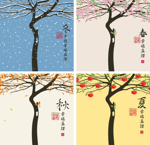 71,900+ Japan Four Seasons Stock Photos, Pictures & Royalty-Free