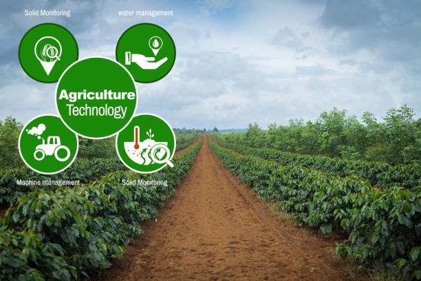 istock Agriculture Technology concept Agritech system coffee in Pakse Laos 866534412