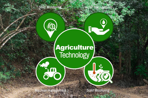 istock Concept agriculture background jungle in Burma 866534700