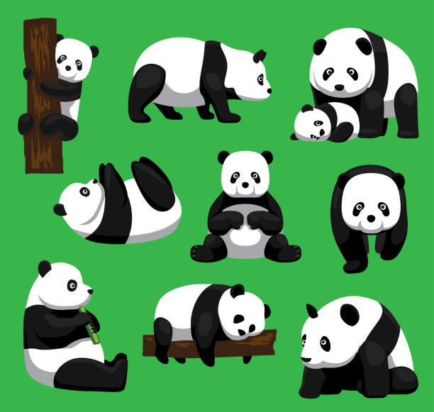 1,044 Happy Panda Cartoon Sitting Illustrations & Clip Art - iStock