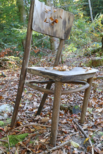 istock Old Chair in the Forest 866537786