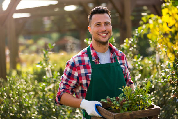 istock Man working in garden center 866538434