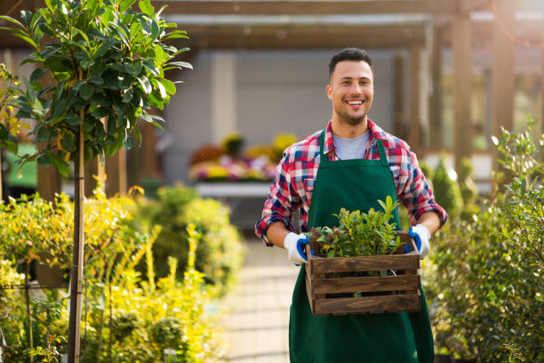 istock Man working in garden center 866538520
