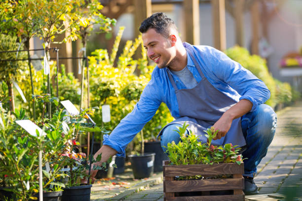 istock Man working in garden center 866538666