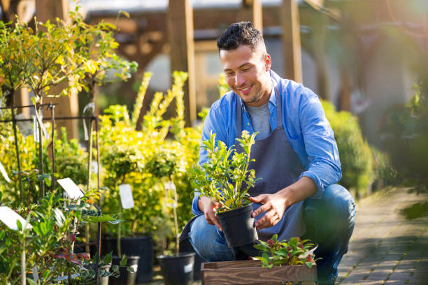 istock Man working in garden center 866538670
