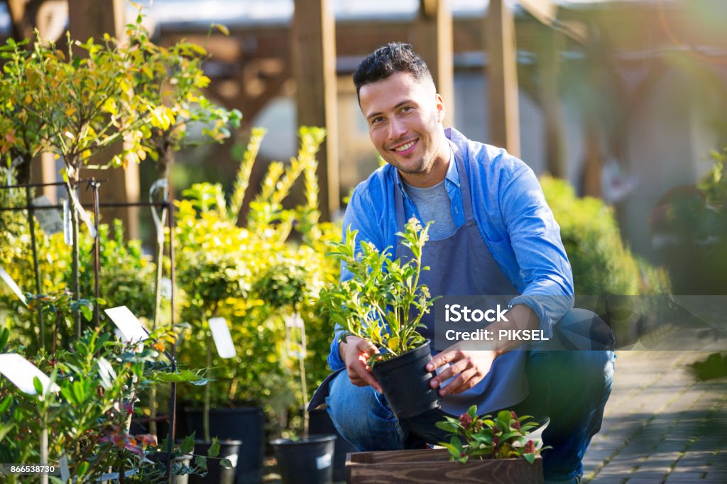 Man working in garden center Smiling employee in garden center Landscaped Stock Photo