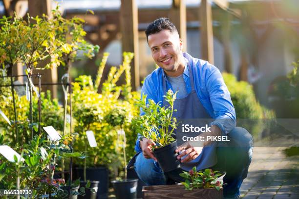 Man Working In Garden Center Stock Photo - Download Image Now - Landscaped, Garden Center, Business