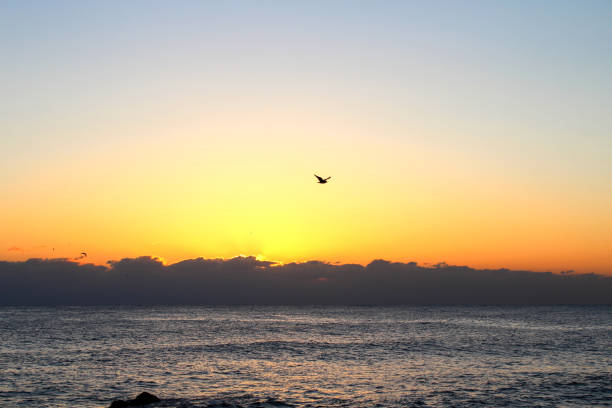 istock Sun rise over the sea in new year 866539648