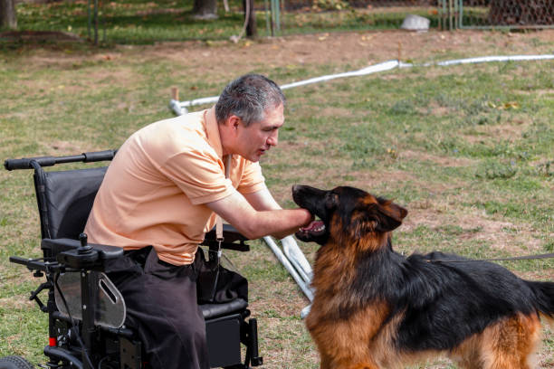 istock Man in electric wheelchairs is playing with German shepherd. 866540080