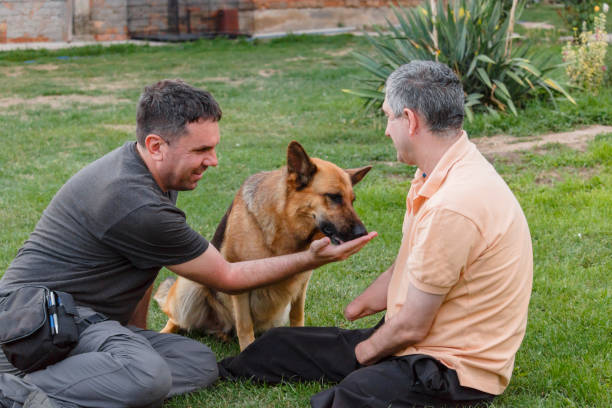 istock Disabled person is sitting on the grass and playing with a dog. 866543016
