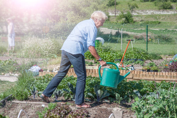 istock Senior woman working in community garden 866544262