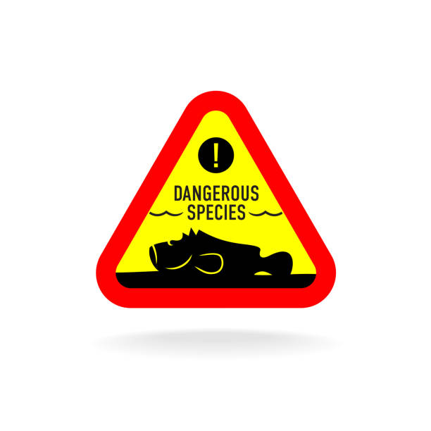 10+ Stonefish Stock Illustrations, Royalty-Free Vector Graphics