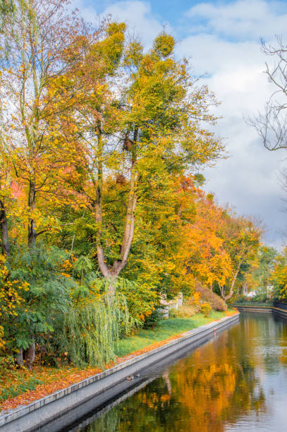 istock Trees in autumn time on the channel. 866547938