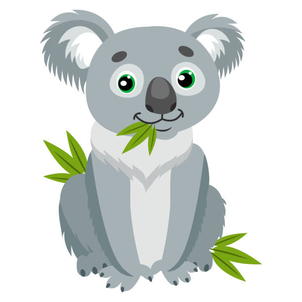 ilustrações, clipart, desenhos animados e ícones de coala em folhas verdes. australian animal herbívoro mais engraçado sentado no eucalipto. sentado o urso. - koala bear animals in the wild perching