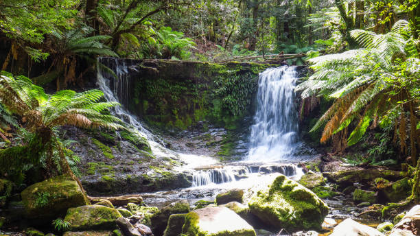 istock Visiting Mountfield Natinal Park in Tasmania 866562798