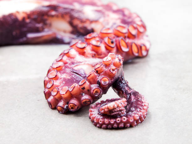 istock cooked tentacle of an octopus 866562806