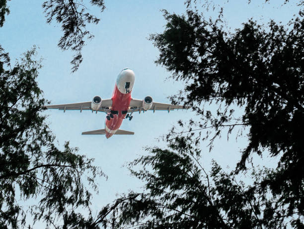 istock The taking off air plane view from the ground below through the tree brush 866568022