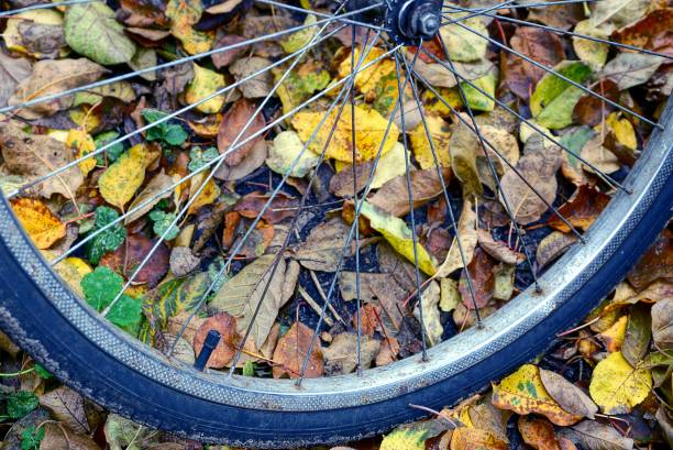 istock part of a bicycle wheel on fallen leaves in a park 866570872