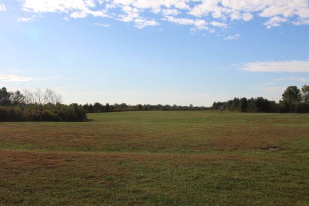 istock Grass Field in the Country 866572220