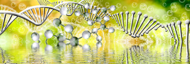 istock Image of molecular structure and chain of dna on blue background close up, 866578328