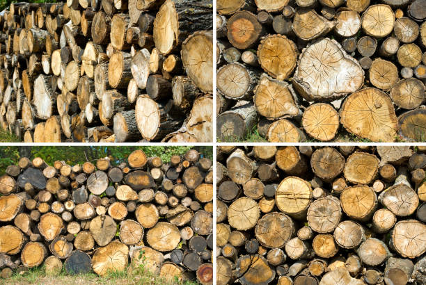 Image of firewood in the yard closeup