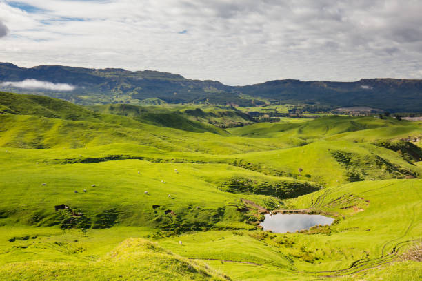 istock New Zealand Scenery 866582760