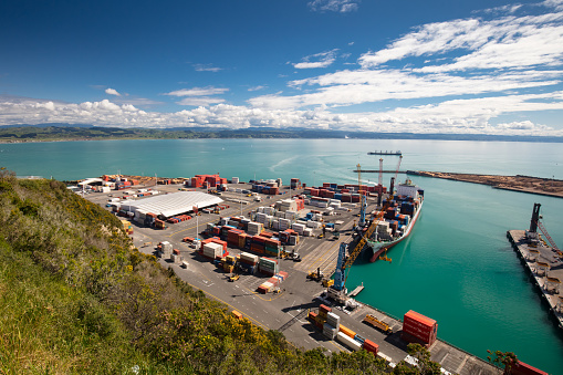 Port Chalmers, Dunedin, Otago, New Zealand, Cargo ship loaded with tree logs