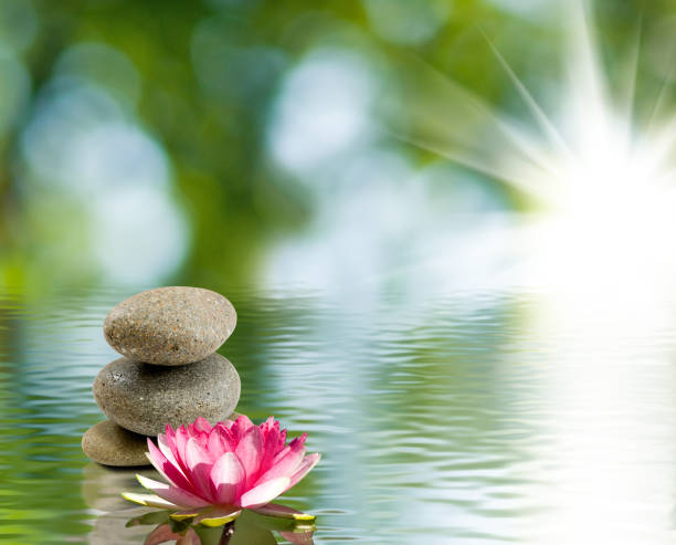 istock Lotus and stones on the water 866588940