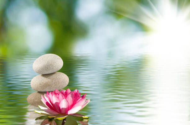 istock Lotus and stones on the water 866589106