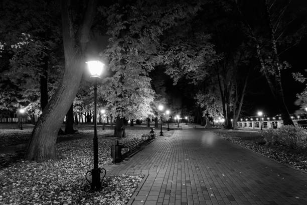 istock Night park in autumn with fallen yellow leaves. 866596030