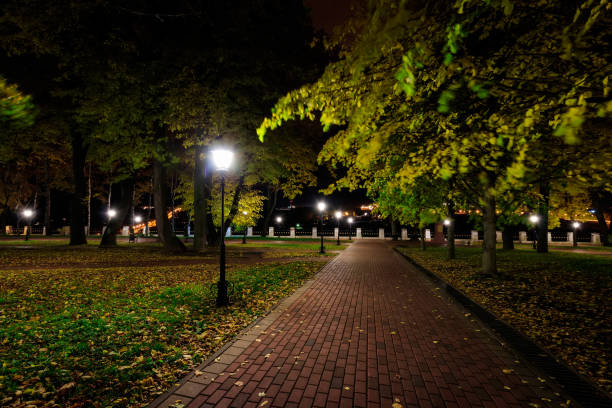 istock Night park in autumn with fallen yellow leaves. 866596036