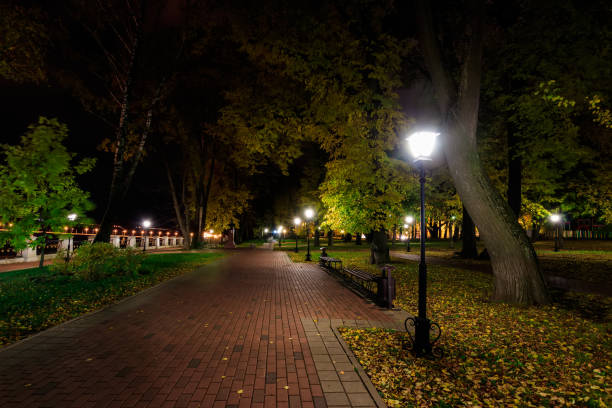 istock Night park in autumn with fallen yellow leaves. 866596068