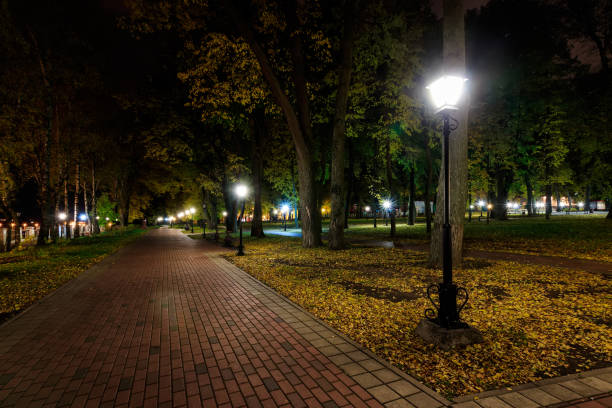 istock Night park in autumn with fallen yellow leaves. 866596082