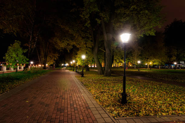 istock Night park in autumn with fallen yellow leaves. 866596086
